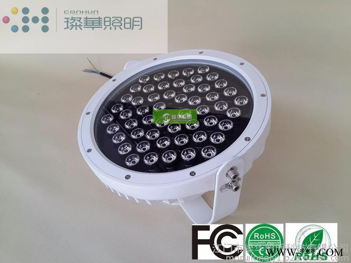LED投光灯，璨华户外54W烤漆LED投光灯，工程亮化LED投光灯，射灯，夜景照明亮化射灯图2