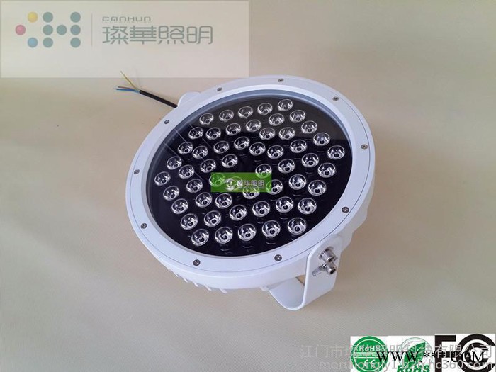 LED投光灯，璨华户外54W烤漆LED投光灯，工程亮化LED投光灯，射灯，夜景照明亮化射灯图5