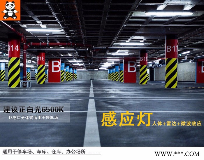 深圳停车场led感应灯管 熊猫T8A12图4