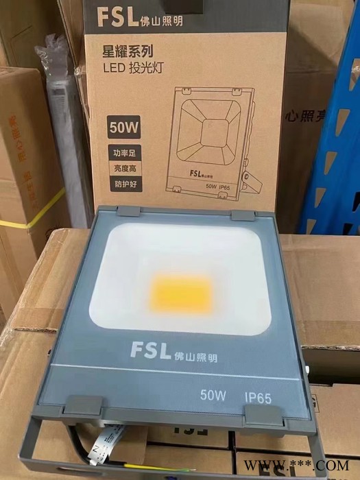 湖南长沙FSL投光灯长沙佛山照明投光灯星耀投光灯100W工厂亮化投光灯图3