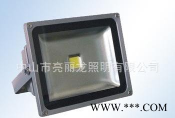中山市亮丽龙户外LED大功率投光灯LED36W投光灯LED单色投光灯图2