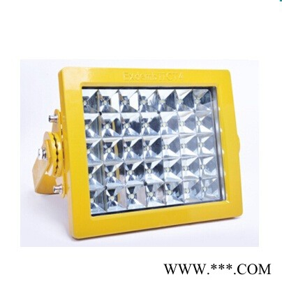 CCD97投光灯防爆灯 CCD97防爆泛光灯 LED泛光灯 LED防爆投光灯 防爆灯具  荣民电气 RMBL180-I图2