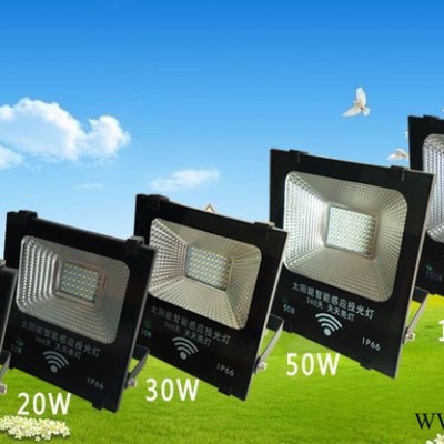 太阳能智能感应投光灯 微波感应投光灯 新农村户外阳台庭院LED灯