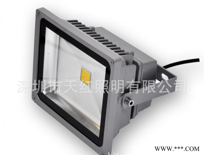 LED泛光灯 直销图1