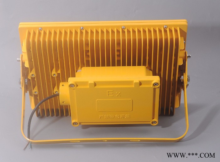 **CCD97LED防爆泛光灯 CCD97海洋王加油站防爆高效泛光灯图2