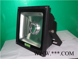 带透镜LED投光灯图2