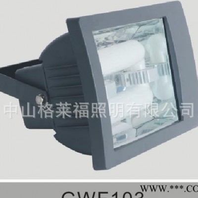 120W投光灯 防水投光灯 150W250W泛光灯 投射灯 广告灯 生产厂家