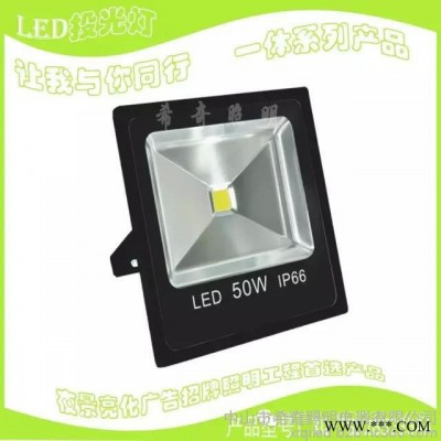 希奇照明工程广告照明专用LED投光灯泛光灯 射灯