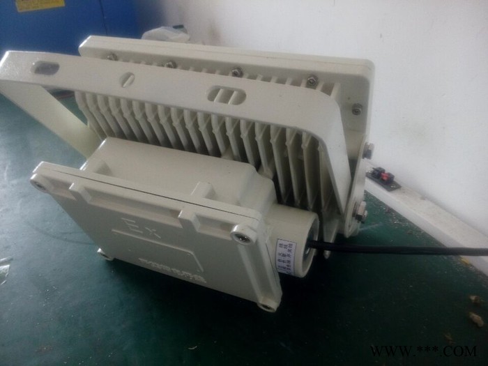油库LED防爆泛光灯40W图6
