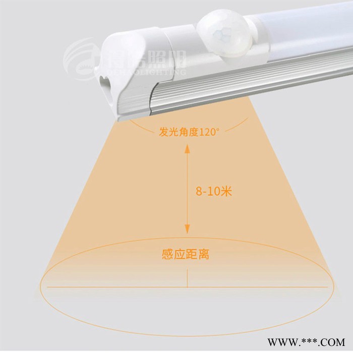 得皓照明DH-RTYTH012 LED一体化人体感应灯管图4