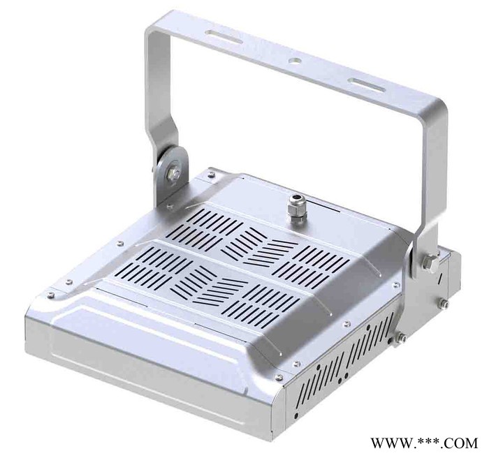 永朗照明YTFG40W LED模组泛光灯图2