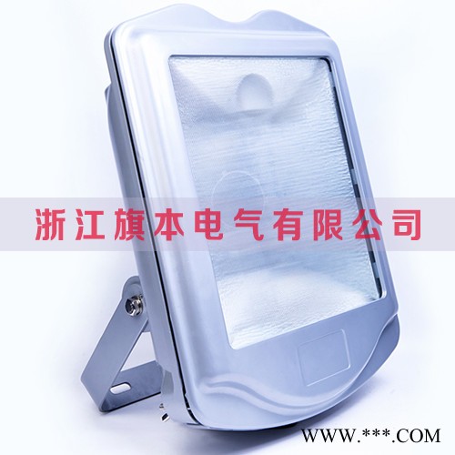 GT302 防水防尘防震防眩灯,三防泛光灯,壁挂式泛光灯,防水防尘灯图1
