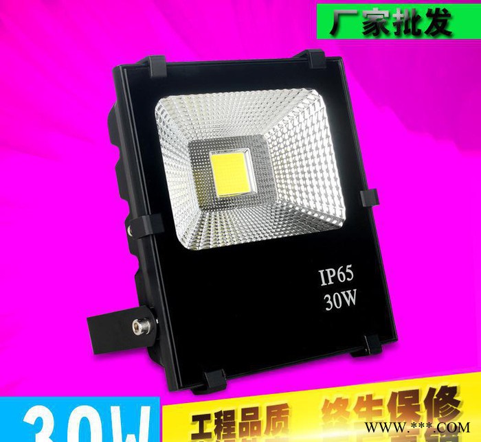 LED投光灯30W高亮户外防水门头投射厂房照明广告泛光灯图3