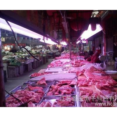 供应鑫田T8-4OW鲜肉灯管