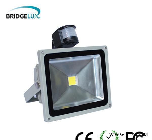 生产20W/30W/40WLED泛光灯、投光灯图3
