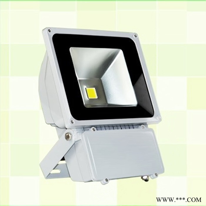 广告射灯 led户外 LED投光灯广场投射灯70W 草坪投光灯泛光灯图2