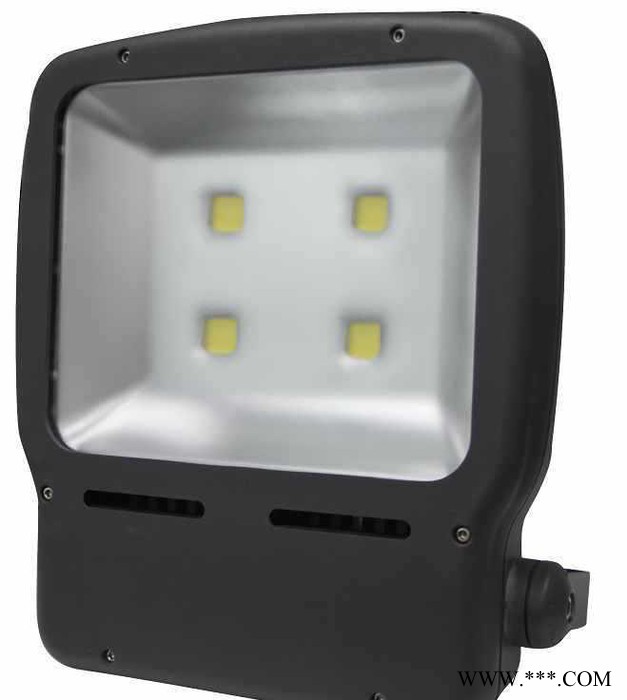 LED投光灯LED 投光灯30W防水IP65图2