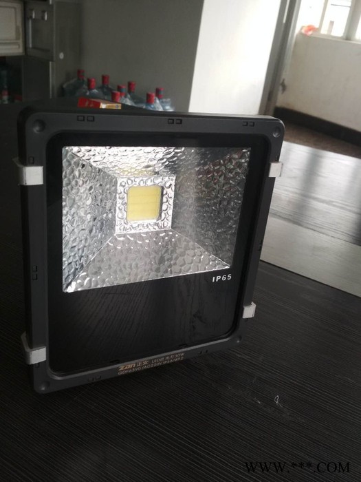隆业KW-TA80WLED防水投光灯 100W放浸水LED泛光灯 LED投光灯图2