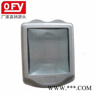 厂价直销防眩泛光灯海洋王NSC9700金卤泛光灯户外防水钠灯通路灯