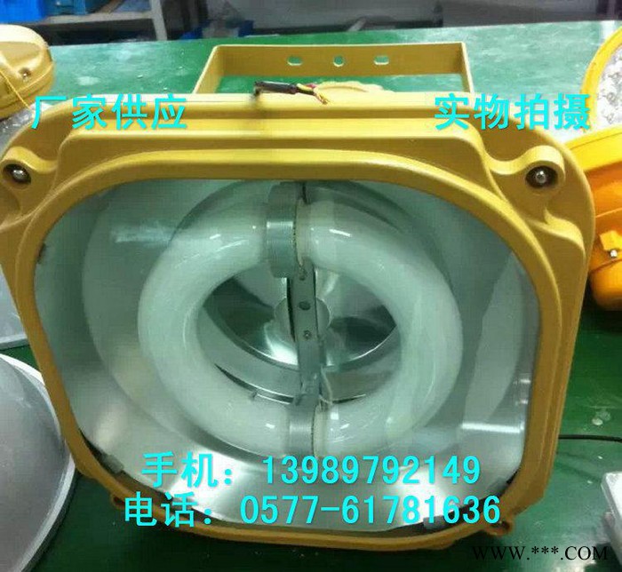 SBF6130-YQL200免维护防水防尘防腐泛光灯 200图3