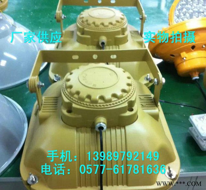 SBF6130-YQL200免维护防水防尘防腐泛光灯 200图2