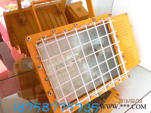 BAT82 /防爆泛光灯(路灯)/BFC8110/BFC6150防爆泛光灯直销