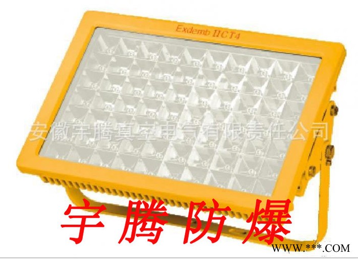 **LED泛光灯 YTF64防爆免维护LED泛光灯(IIC) LED防爆灯具图2