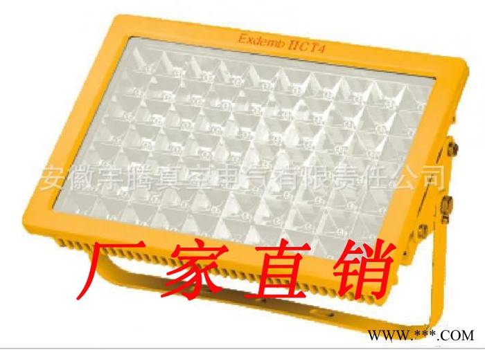 **LED泛光灯 YTF64防爆免维护LED泛光灯(IIC) LED防爆灯具图1