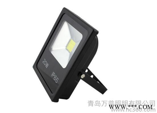 供应VP-F10B 泛光灯图2
