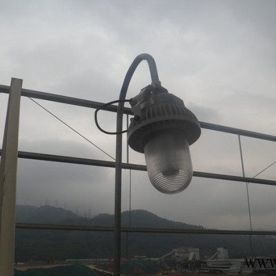 40W防眩泛光灯