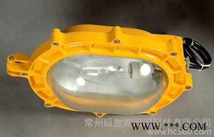 内场防爆强光泛光灯 防爆粉尘泛光灯 海洋王BFC8120图2