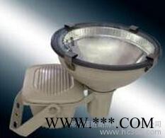 海洋王ZT6900A防水防尘防震投光灯 三防投光灯 投射灯图2