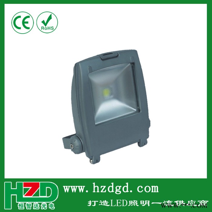 宁波LED10w-100w广告灯投光灯LED泛光灯投光灯防水灯图1
