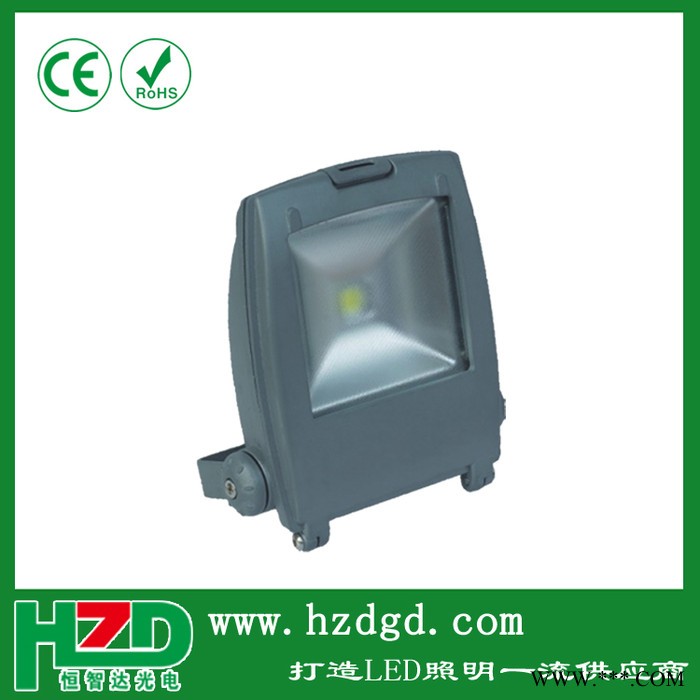 宁波LED10w-100w广告灯投光灯LED泛光灯投光灯防水灯图2
