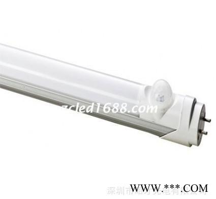 ** T8红外感应环形12W日光灯管 声控led一体化日光灯微波感应日光灯管图1