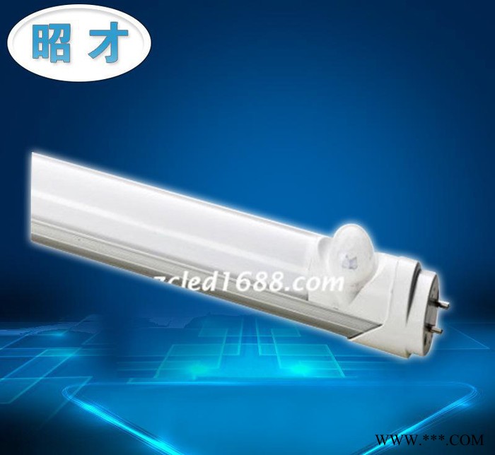 ** T8红外感应环形12W日光灯管 声控led一体化日光灯微波感应日光灯管图3