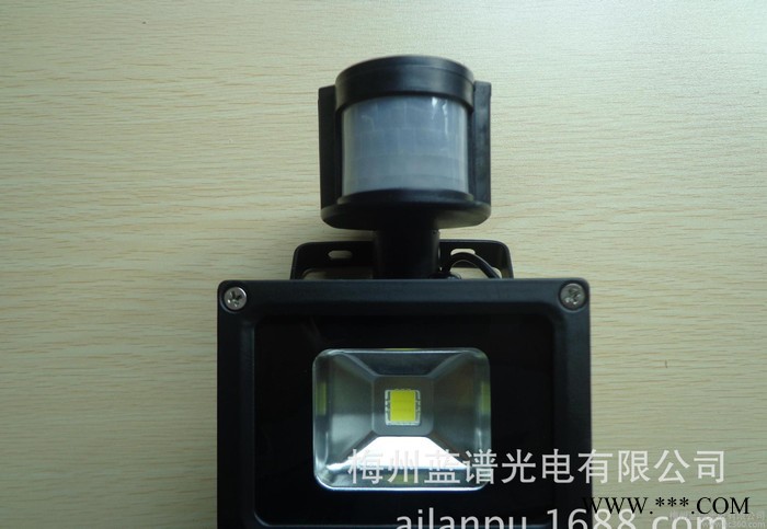 LED感应投光灯红外人体感应式户外投光灯防水庭院灯LED感应投光灯图1