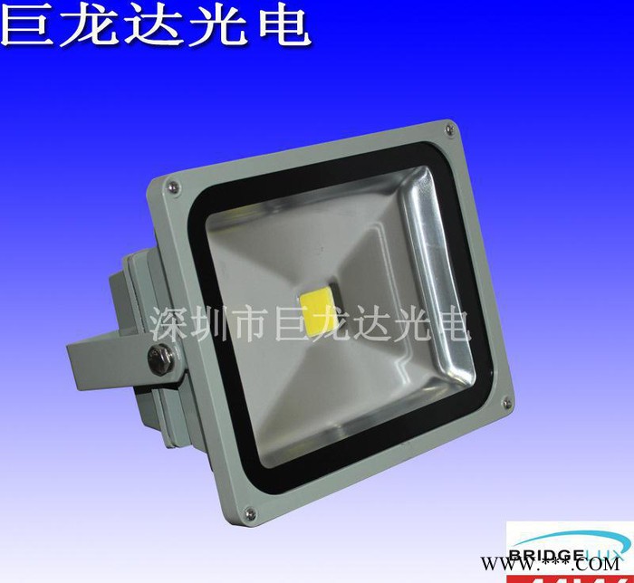 直销LED投光灯50W LED投光灯 50WLED泛光灯 景图1