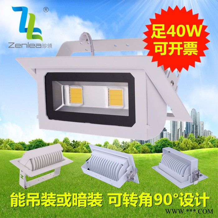 Zenlea珍领ZL-FL1040-A LED 投光灯新款室内可旋转投光灯20W/30W/40W图1