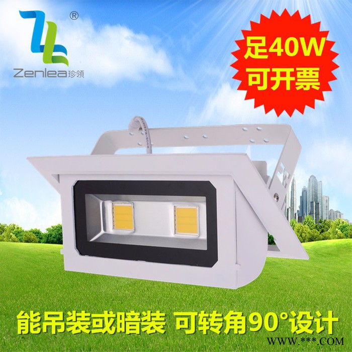Zenlea珍领ZL-FL1040-A LED 投光灯新款室内可旋转投光灯20W/30W/40W图3