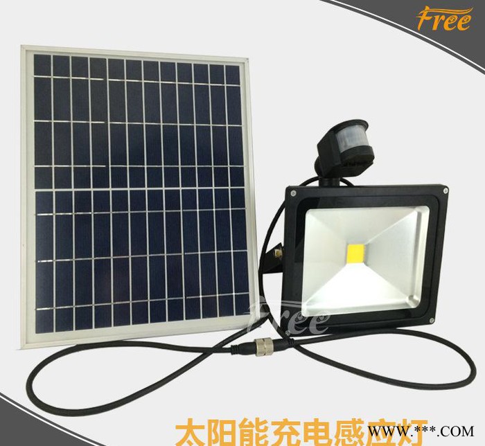 led感应投光灯人体感应投光灯防水户外灯泛光灯10W led图3