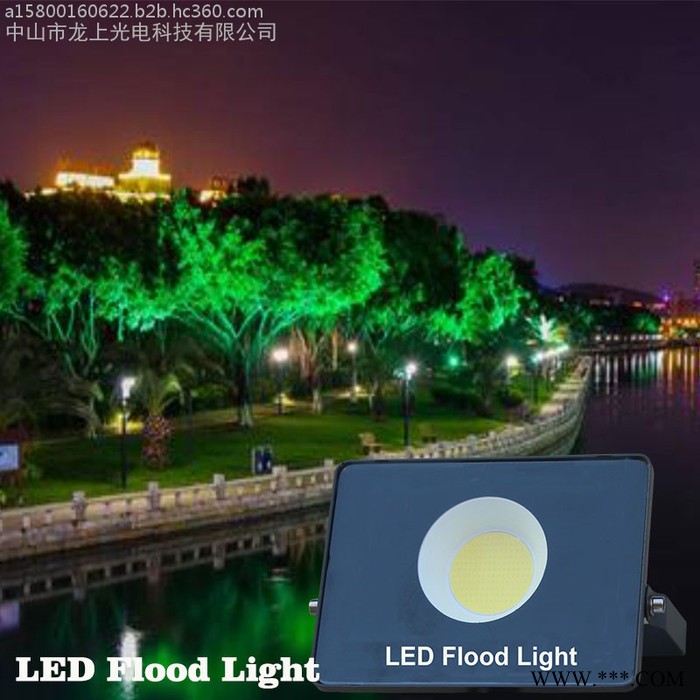 LED 广告灯 投光灯泛光灯投射灯50瓦220V防水等级IP65图3