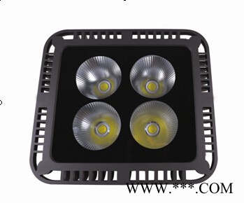 厂家供应**产品、LED泛光灯360W图1