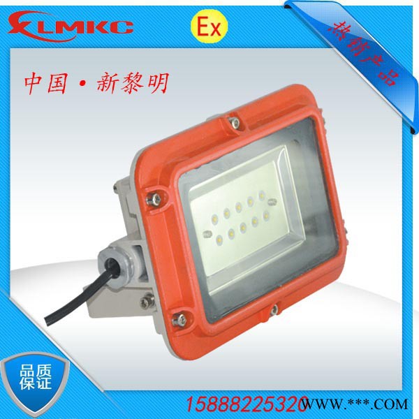 新黎明BZD188-01LED防爆泛光灯 10-50W防爆泛光灯 防爆LED灯                外图3