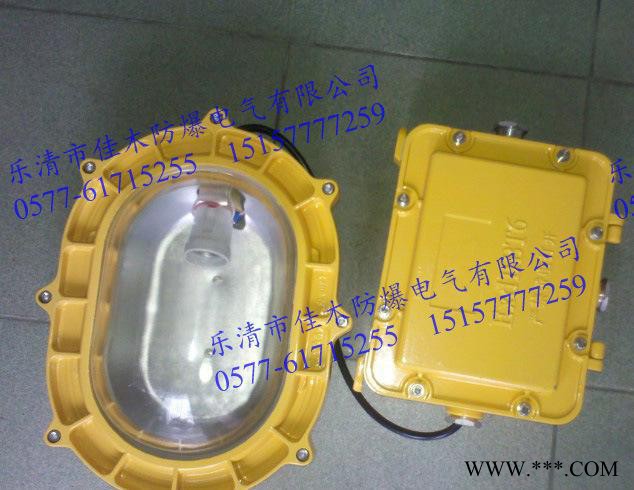 BFC8120-J100防爆内场强光泛光灯图2
