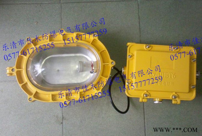 BFC8120-J100防爆内场强光泛光灯图1