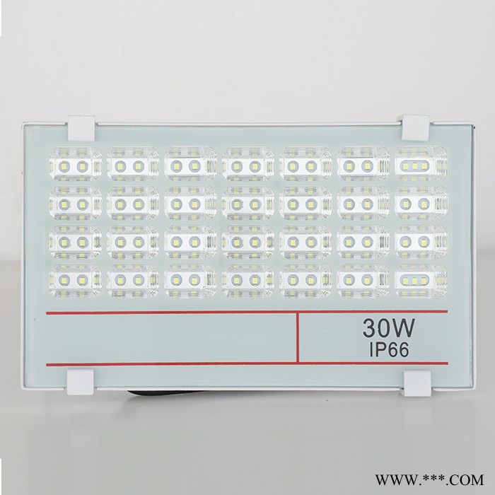 欧羿TG-TS-30W 户外投光灯图2