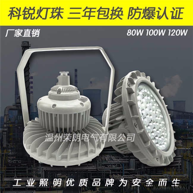 荣朗GF9050LED防爆灯 80WLED防爆泛光灯图3