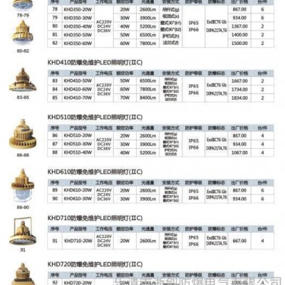 SBF6101-YQL50免维护节能防水防尘防腐泛光灯
