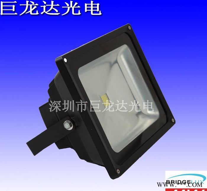 LED投光灯30W 停车场补光灯30W 圆形投光灯户外照明灯图2